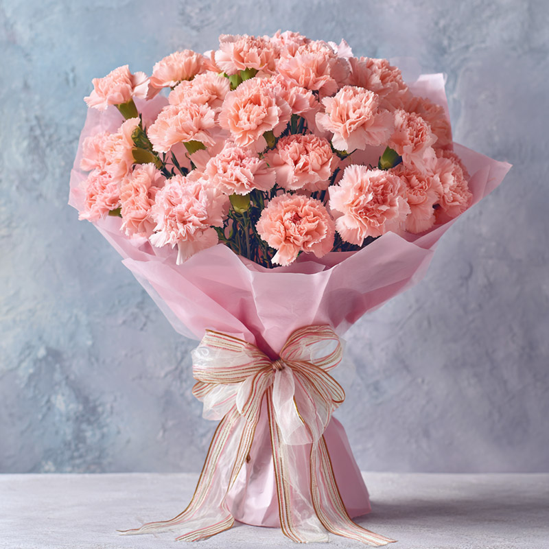 Raffles Place Birthday Succulents Budget